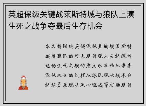英超保级关键战莱斯特城与狼队上演生死之战争夺最后生存机会